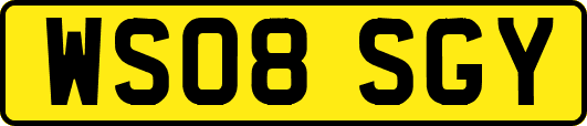 WS08SGY
