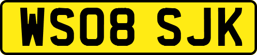 WS08SJK
