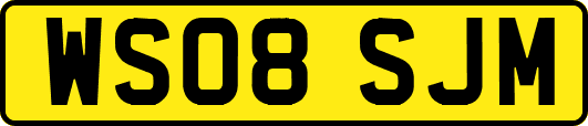 WS08SJM