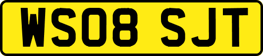 WS08SJT