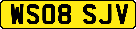 WS08SJV