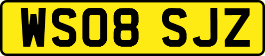 WS08SJZ