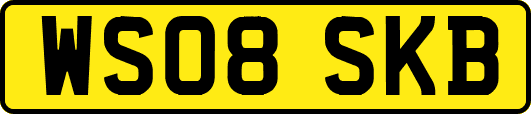 WS08SKB