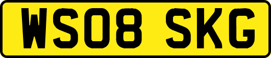 WS08SKG