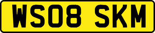 WS08SKM