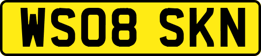 WS08SKN