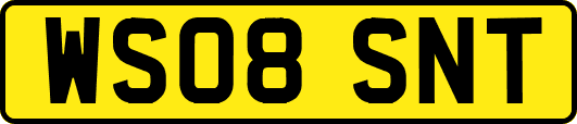 WS08SNT