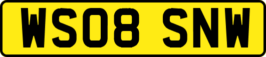 WS08SNW