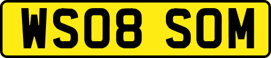 WS08SOM