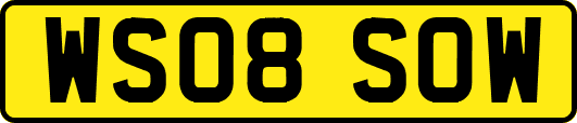 WS08SOW