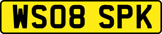 WS08SPK