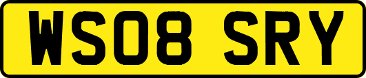 WS08SRY