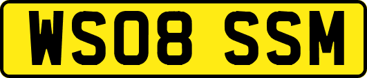 WS08SSM