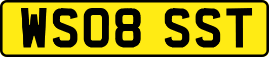 WS08SST