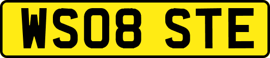 WS08STE