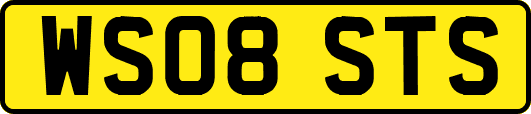 WS08STS