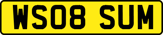 WS08SUM