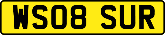 WS08SUR