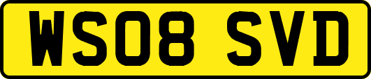 WS08SVD
