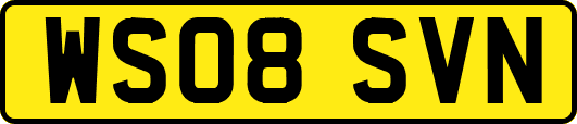 WS08SVN