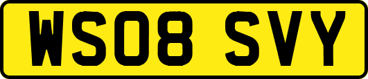 WS08SVY