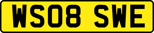 WS08SWE