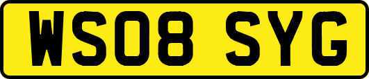 WS08SYG