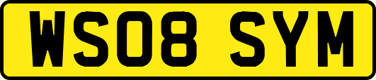 WS08SYM