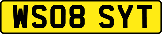 WS08SYT