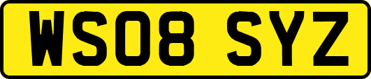 WS08SYZ