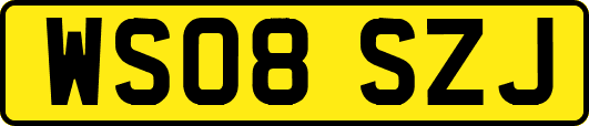 WS08SZJ