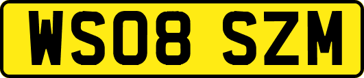 WS08SZM