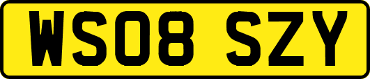 WS08SZY