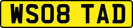 WS08TAD
