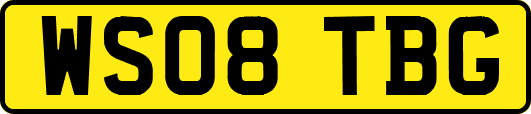 WS08TBG