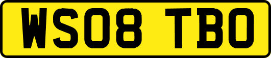 WS08TBO