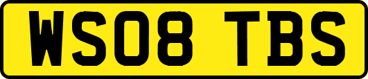 WS08TBS