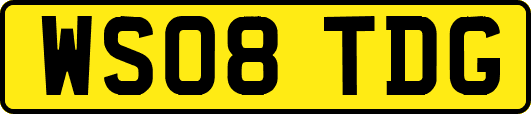 WS08TDG