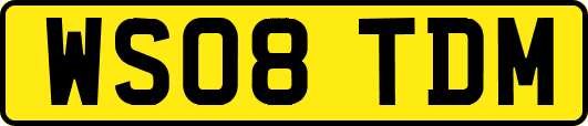 WS08TDM