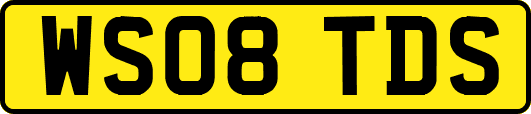 WS08TDS