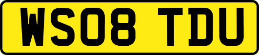 WS08TDU