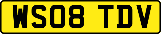 WS08TDV