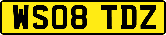 WS08TDZ
