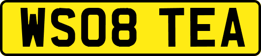 WS08TEA