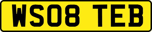 WS08TEB