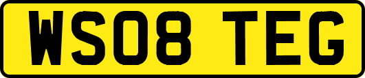 WS08TEG