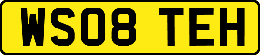 WS08TEH