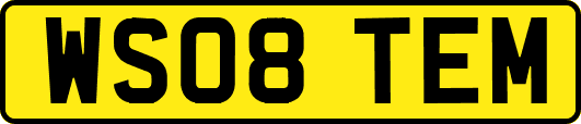 WS08TEM