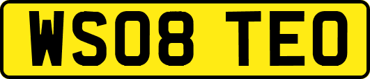 WS08TEO