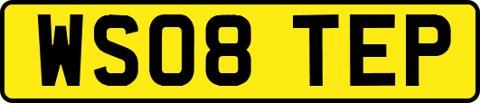 WS08TEP